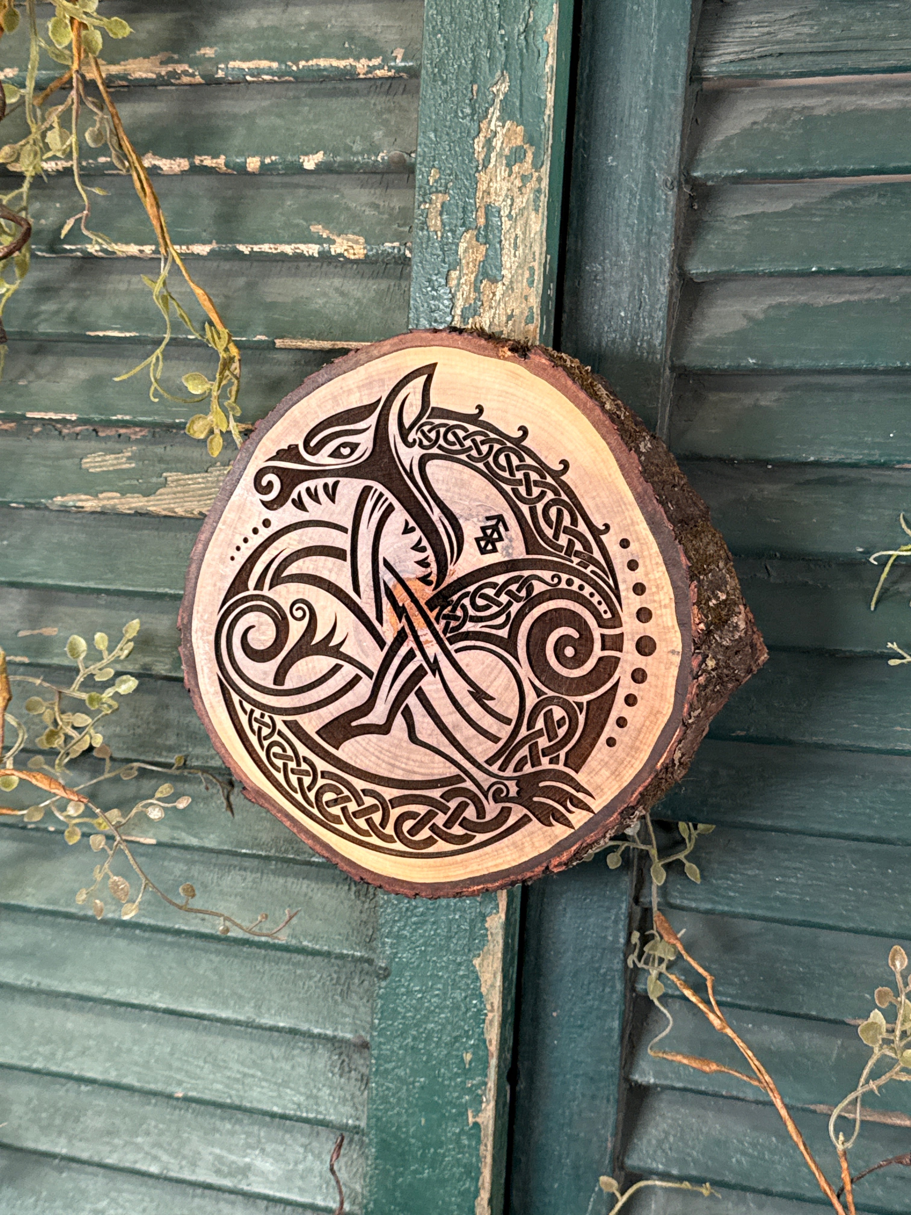 Viking Wolf on SweetGum