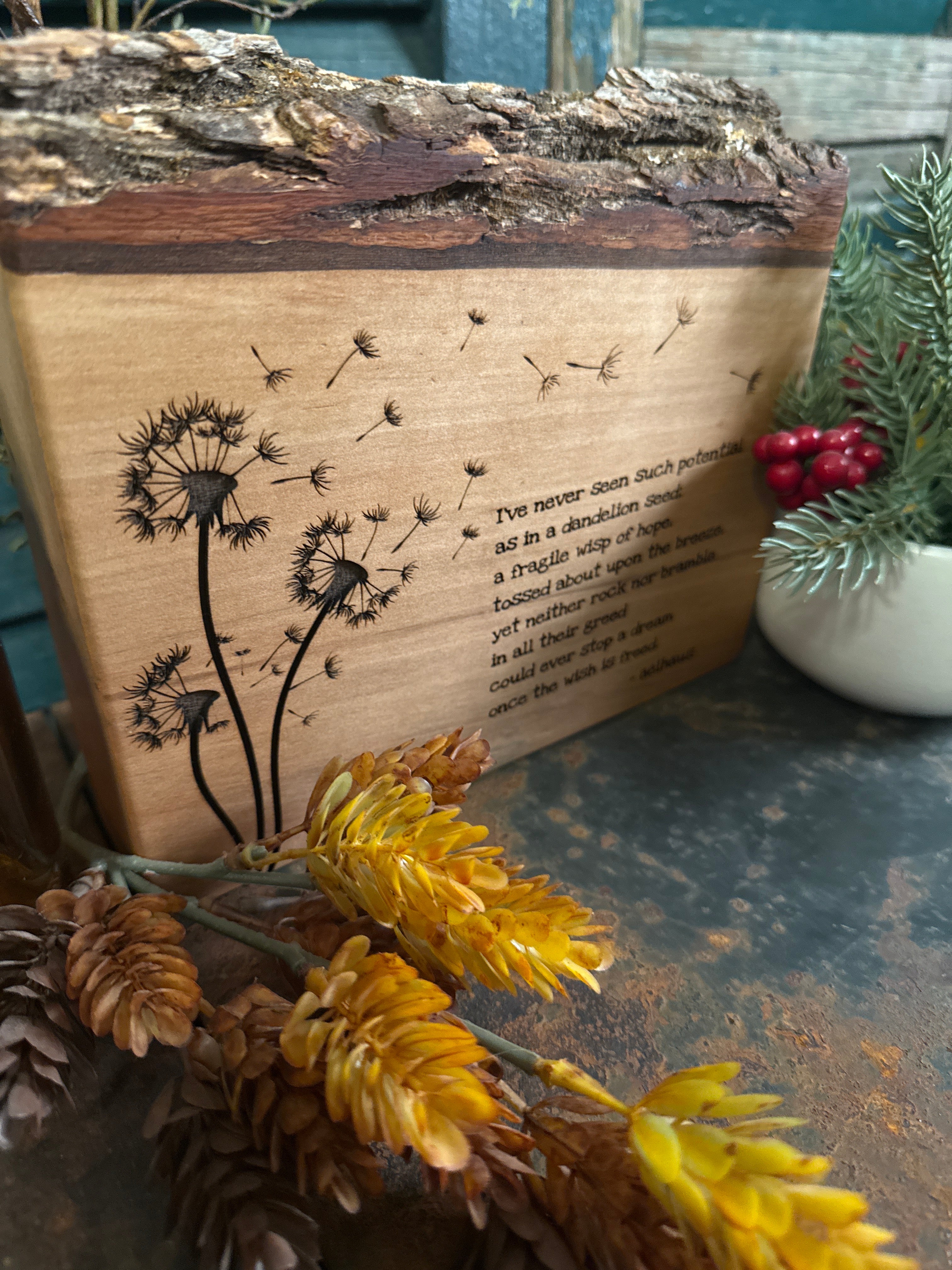 Potential - Original Poem on Sweetgum