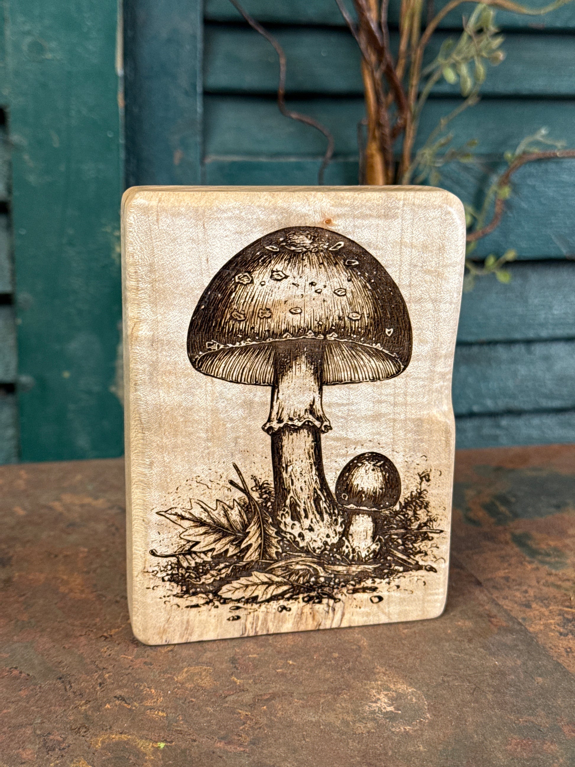 Forest Mushrooms on Maple