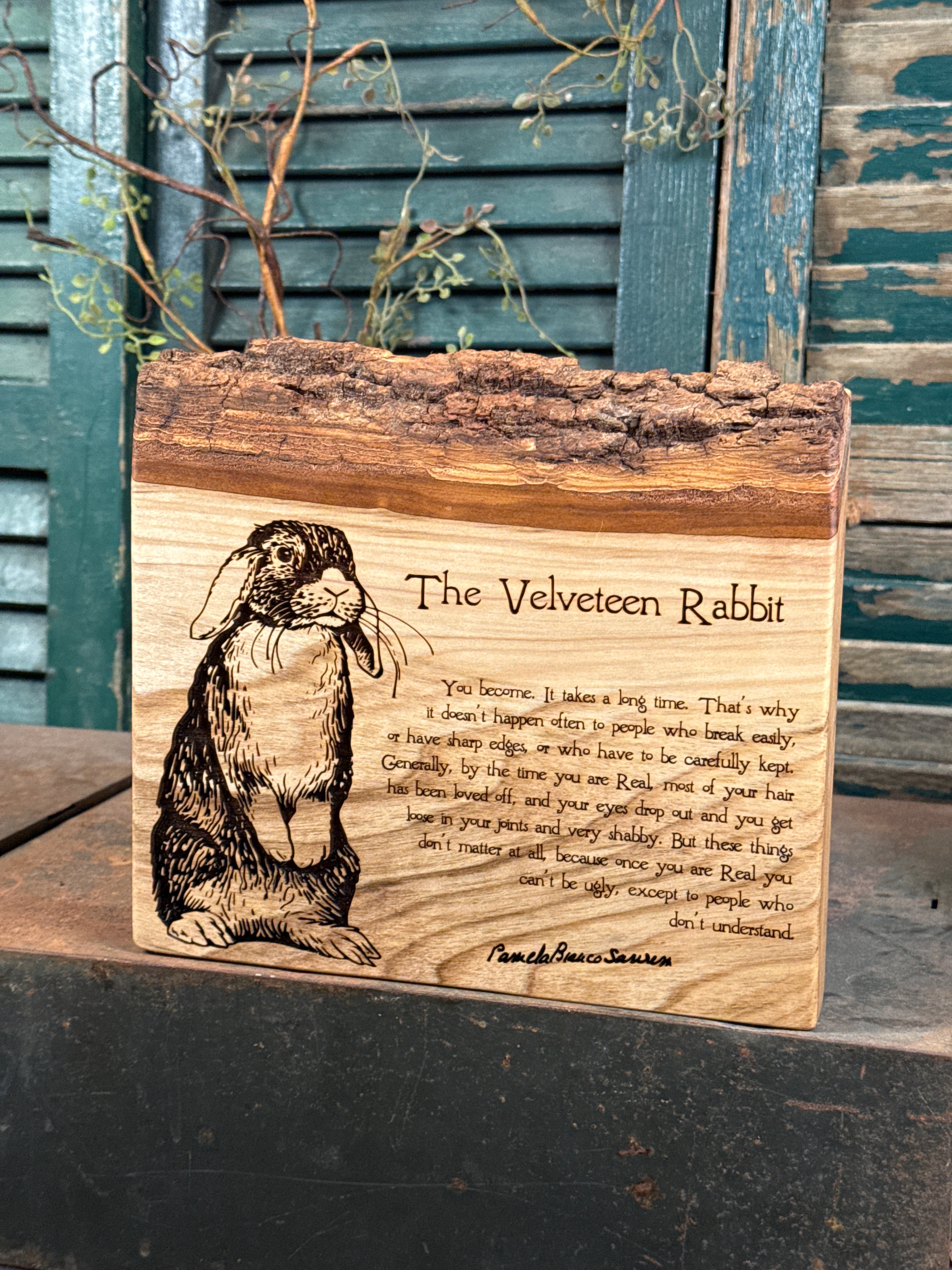 Velveteen Rabbit on Poplar