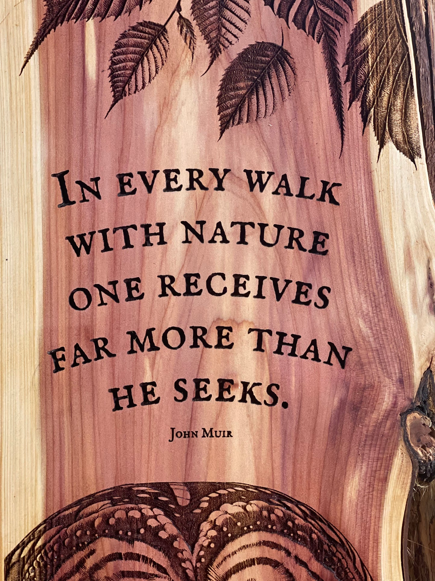 Walk with Nature: John Muir quote
