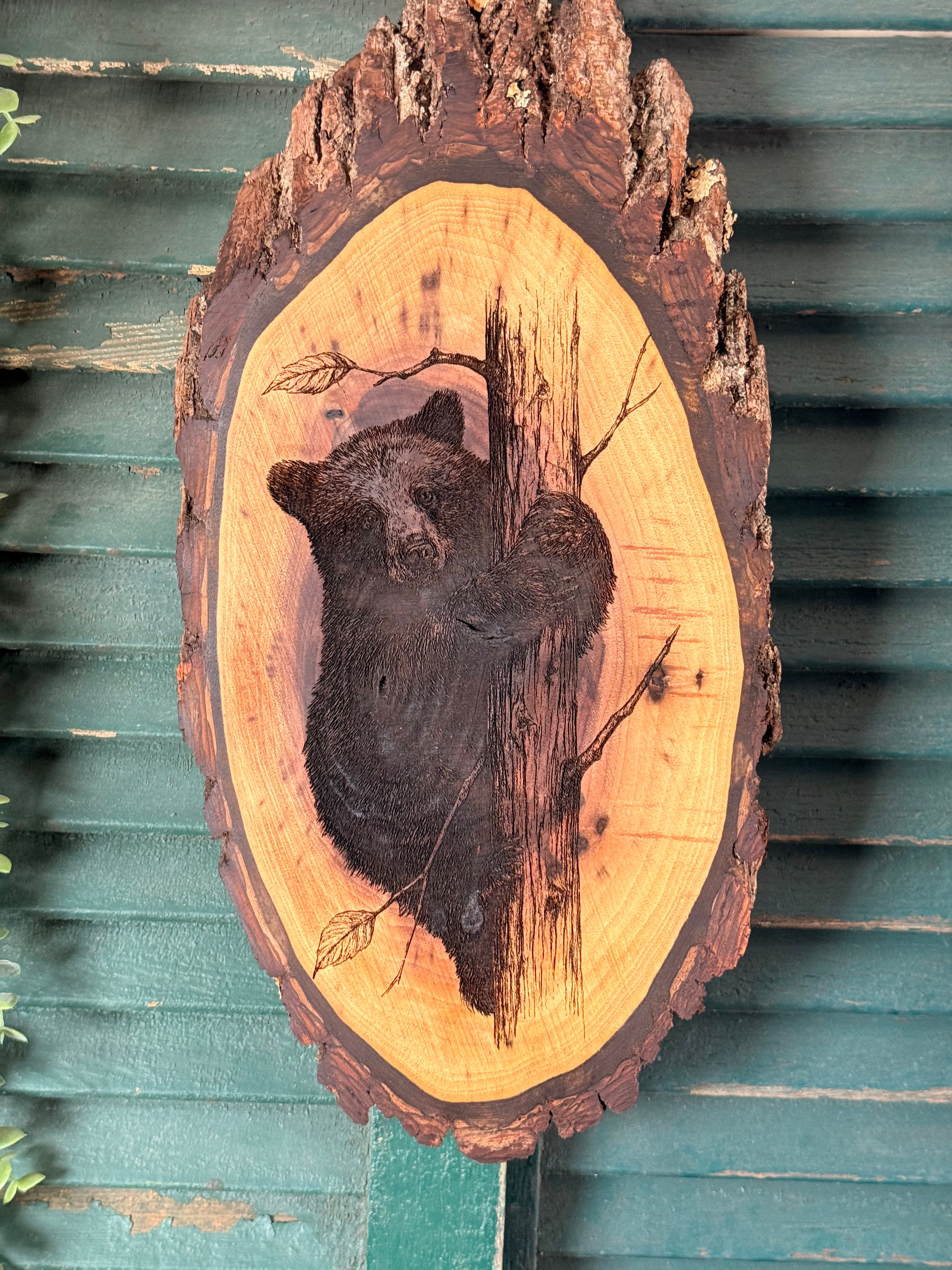 Bear Cub on Walnut