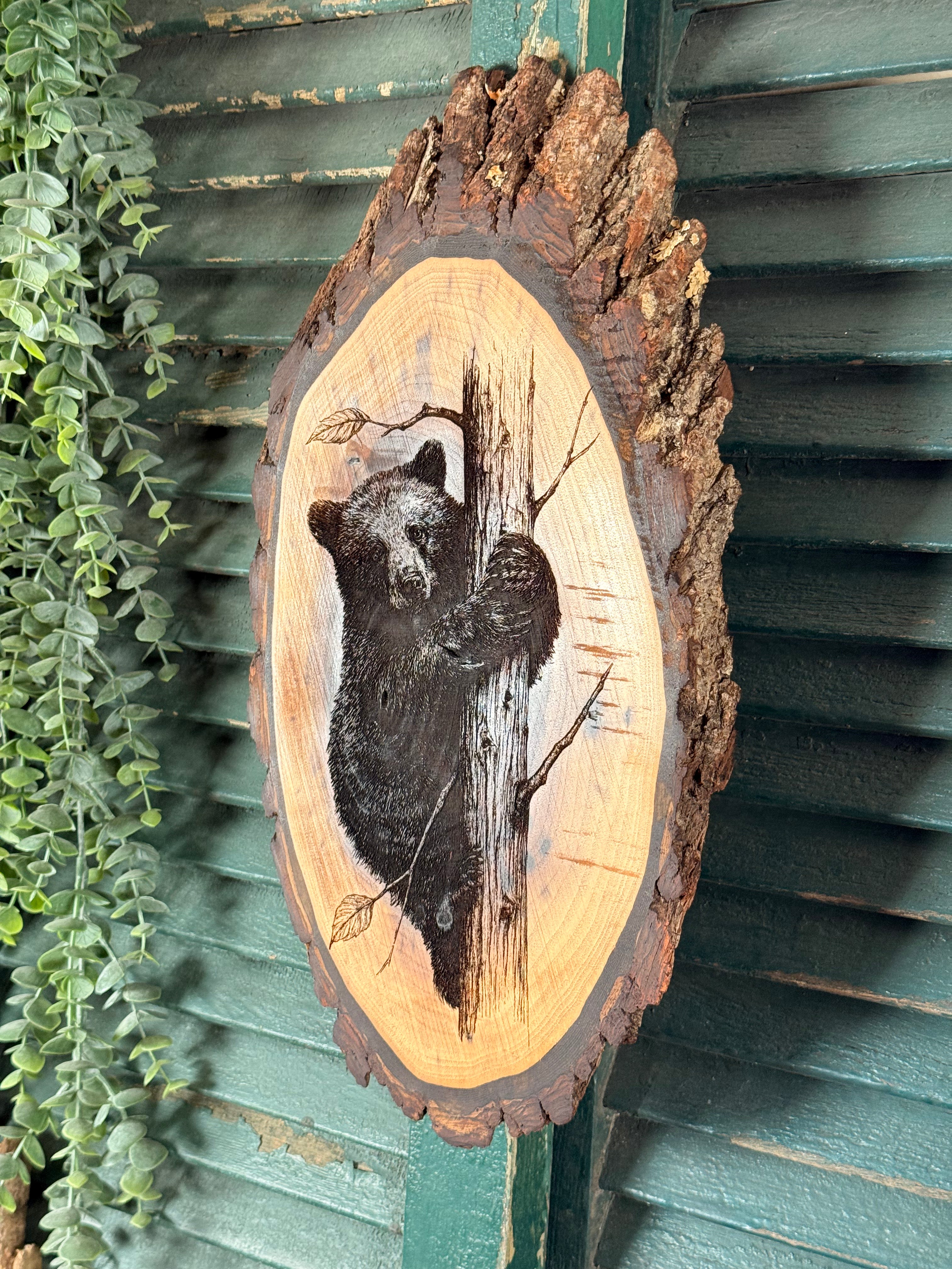 Bear Cub on Walnut