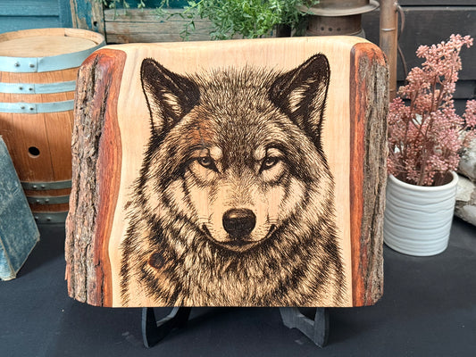 Timber Wolf on Sweetgum