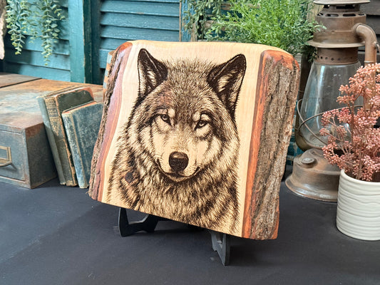 Timber Wolf on Sweetgum
