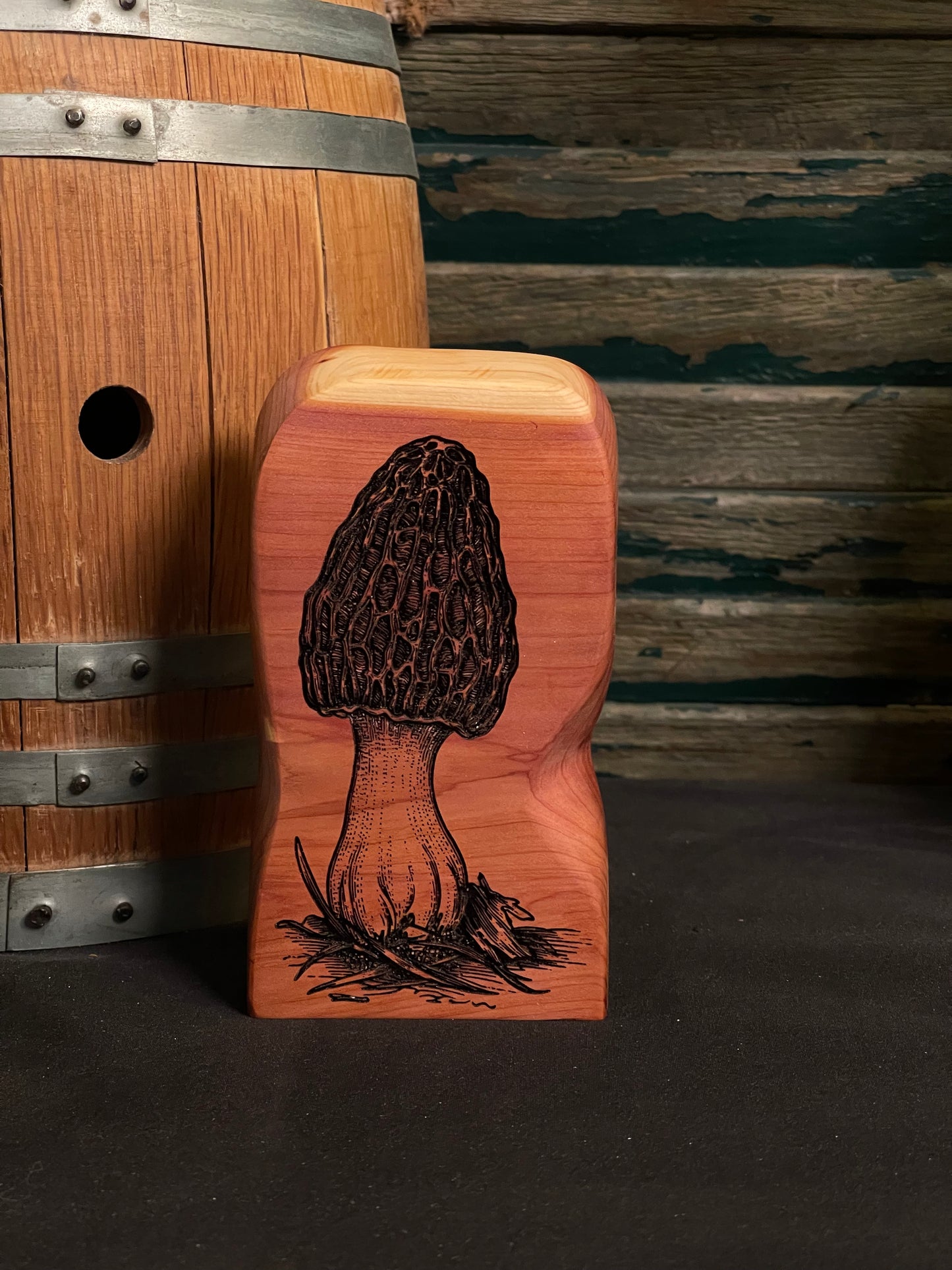 Morel on Cedar