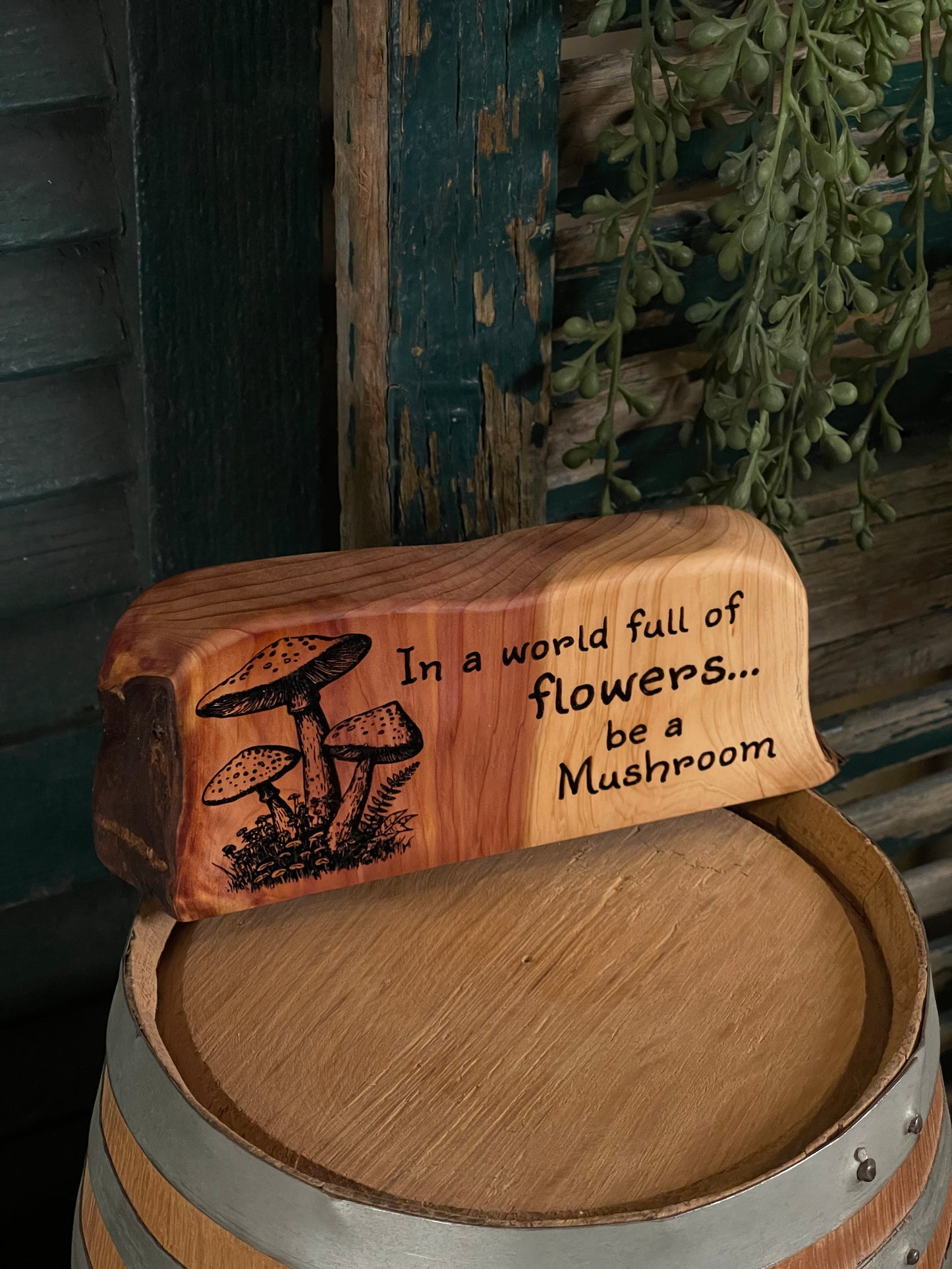 Be A Mushroom on Cedar