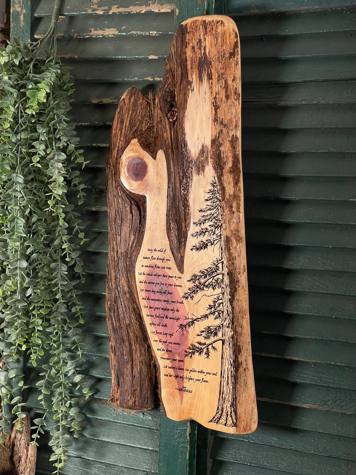 The Wild Of Nature - Original Poem on Cedar
