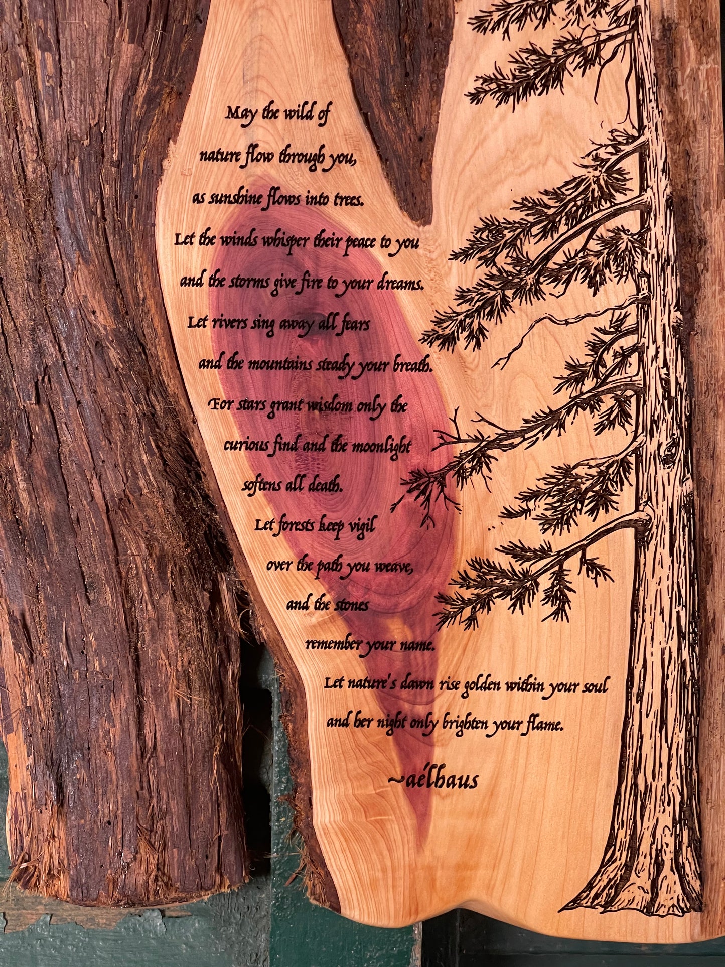 The Wild Of Nature - Original Poem on Cedar