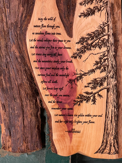 The Wild Of Nature - Original Poem on Cedar