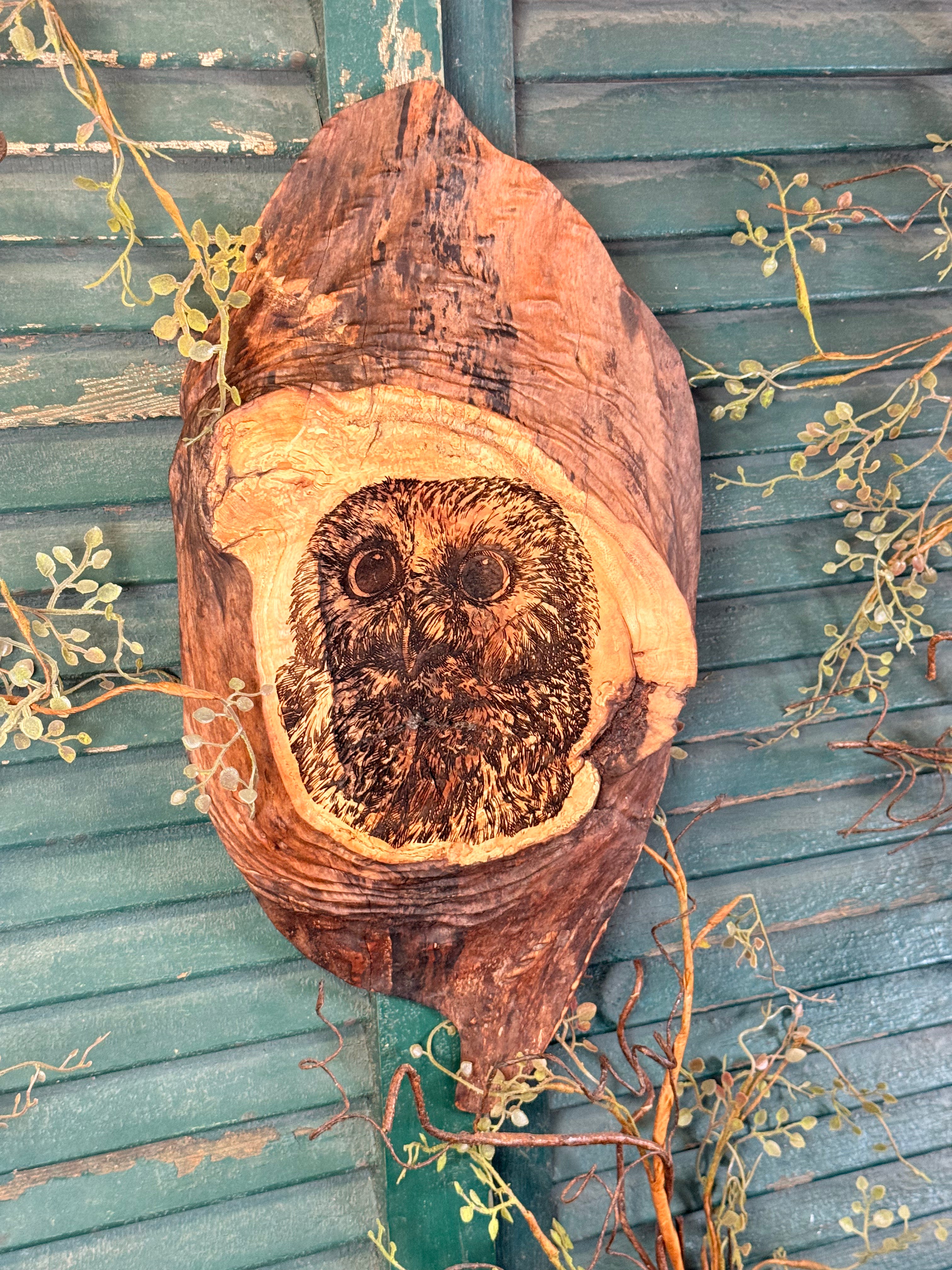 Owl in Tree on Maple