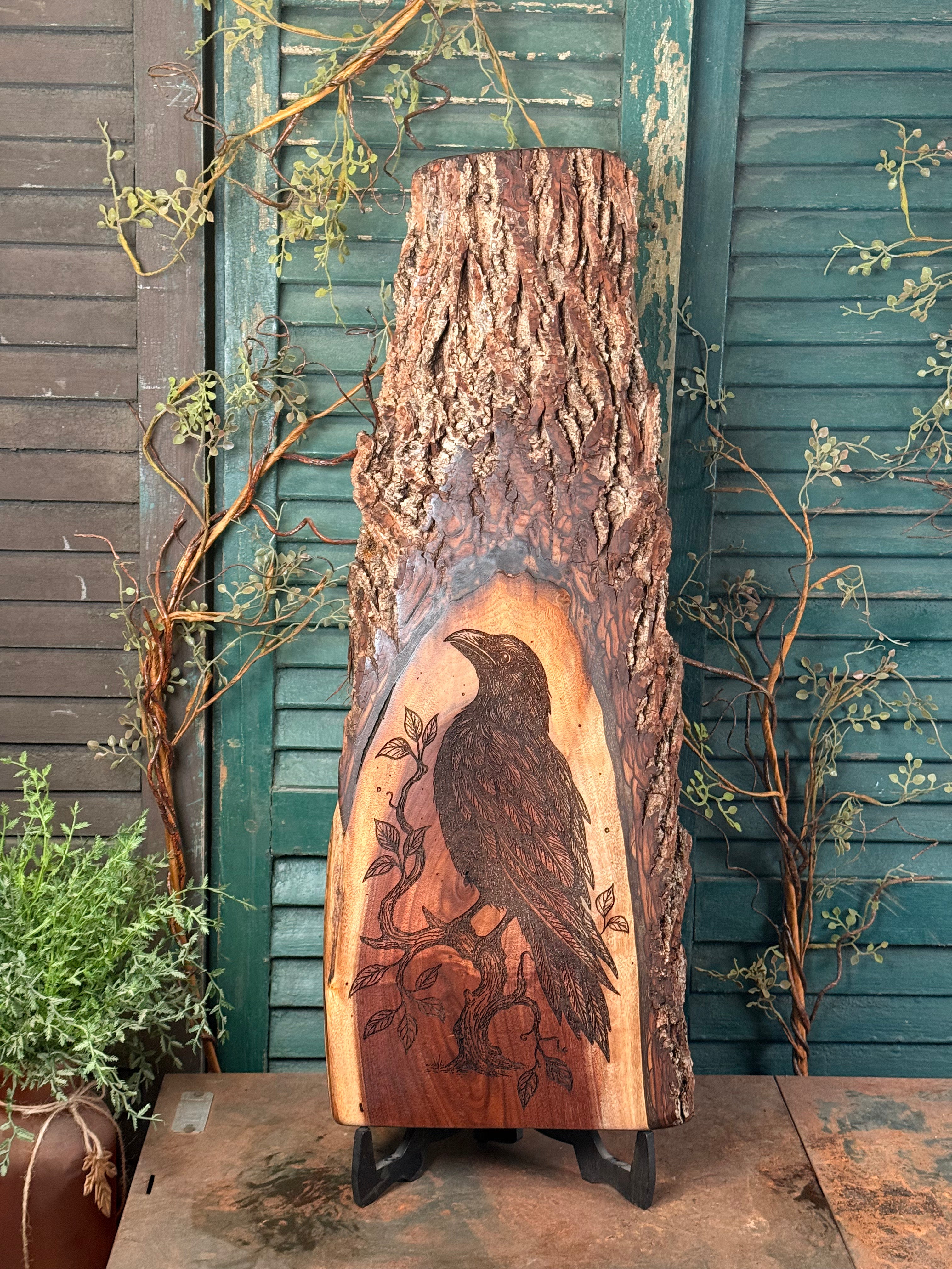 Ancient Crow on Walnut