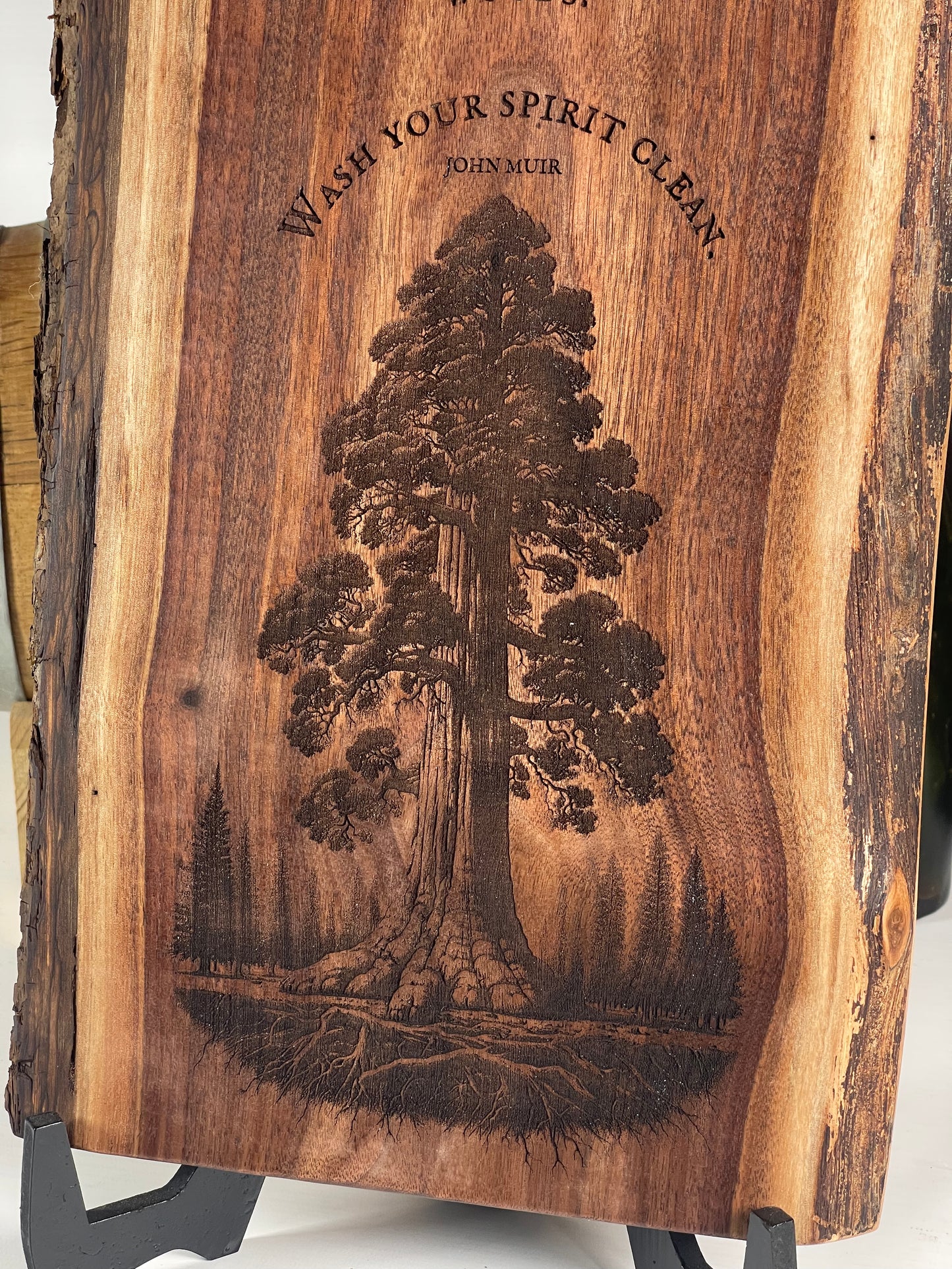 Quote - Wash Your Spirit Clean - John Muir on Black Walnut