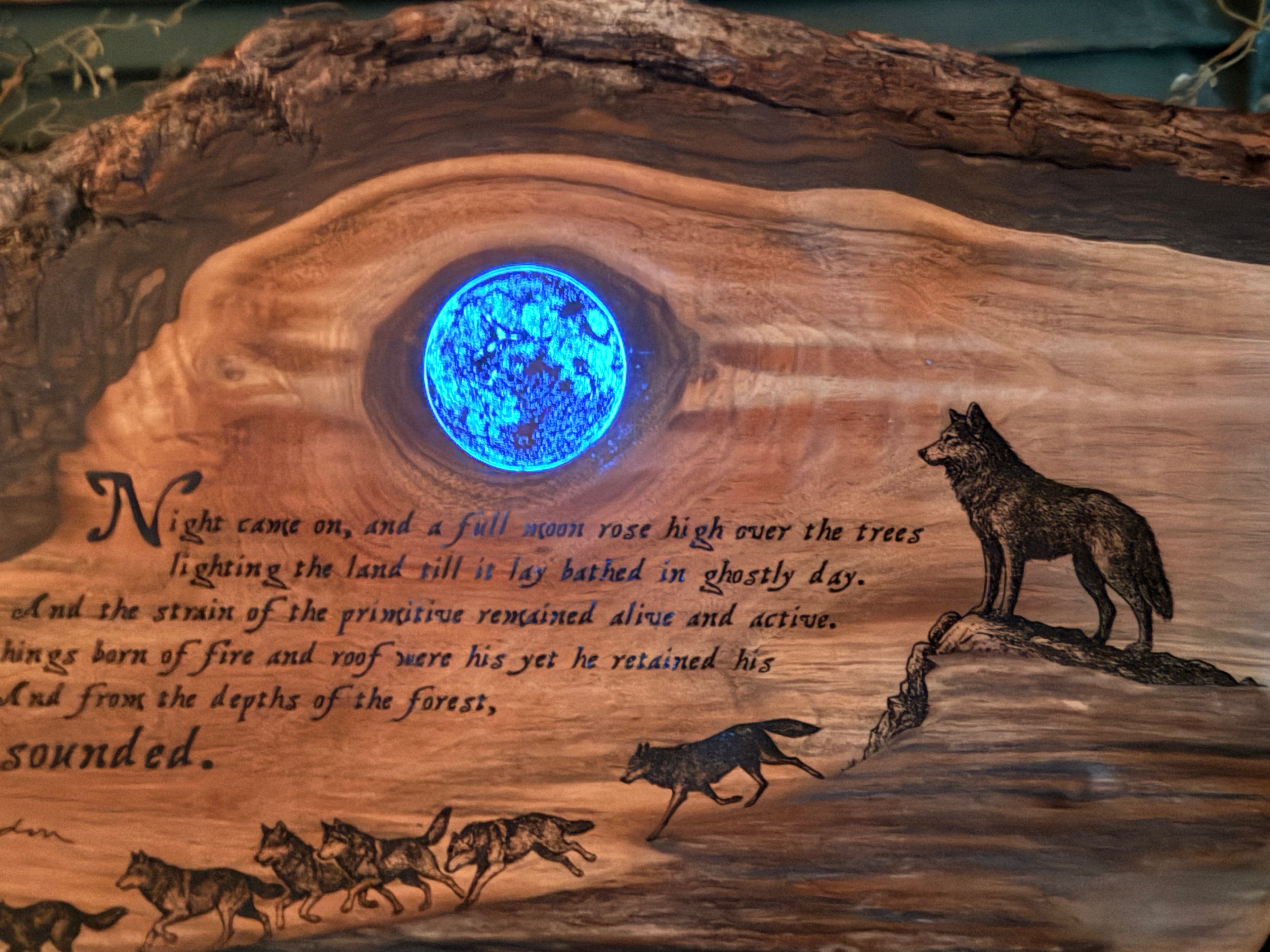 A Call still Sounded on Walnut