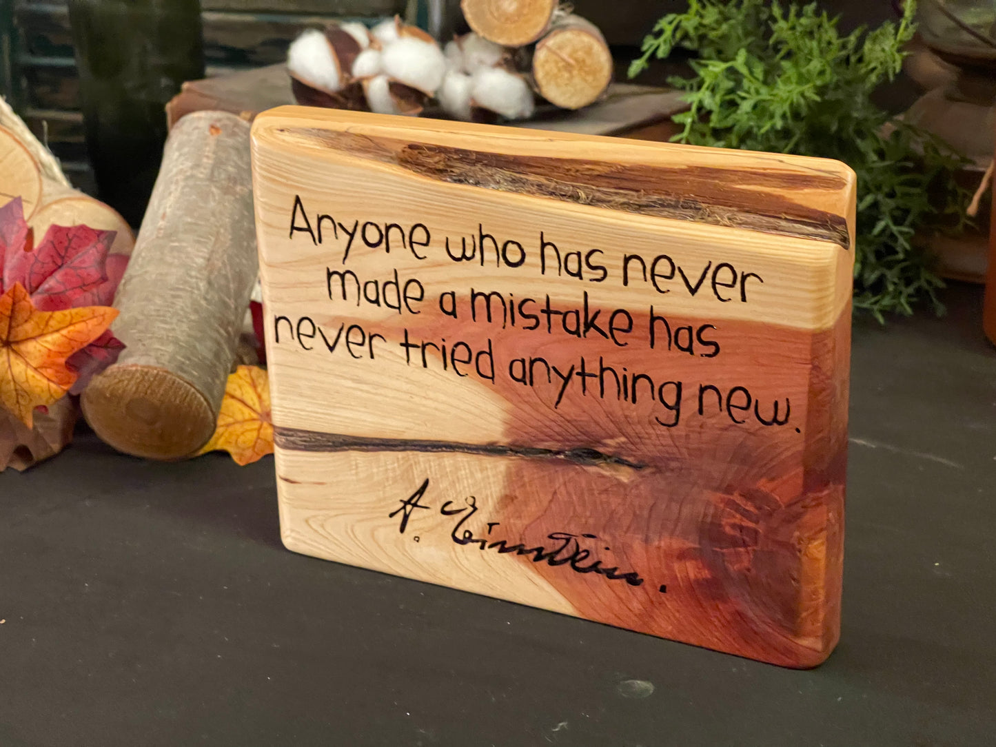 Quote - Try Something New - Theodore Roosevelt on Cedar