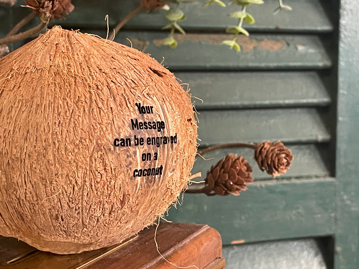 Message on a Coconut