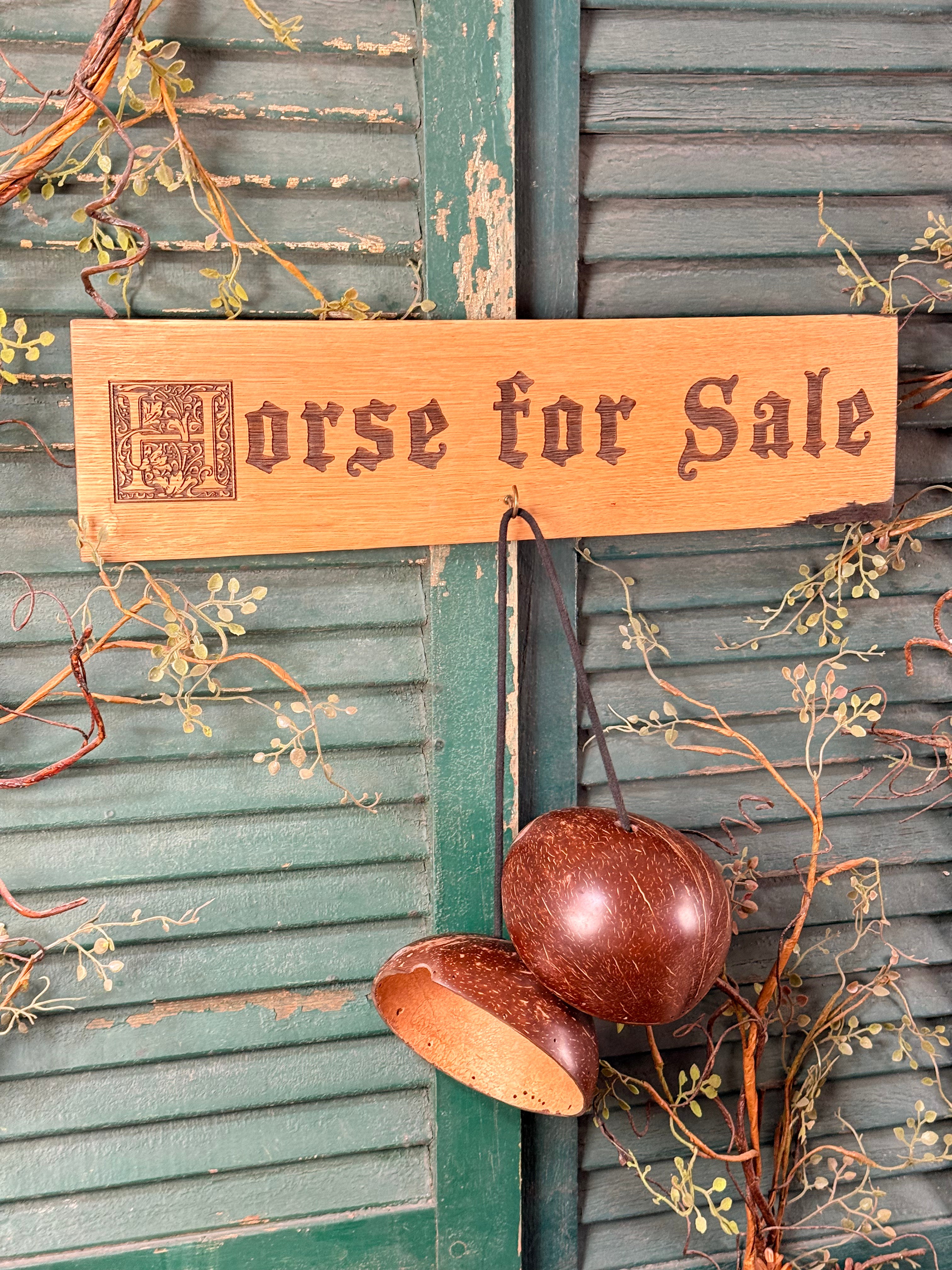 Horse For Sale on Bourbon Barrel Oak