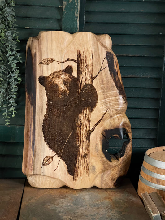 Bear Cub on Maple