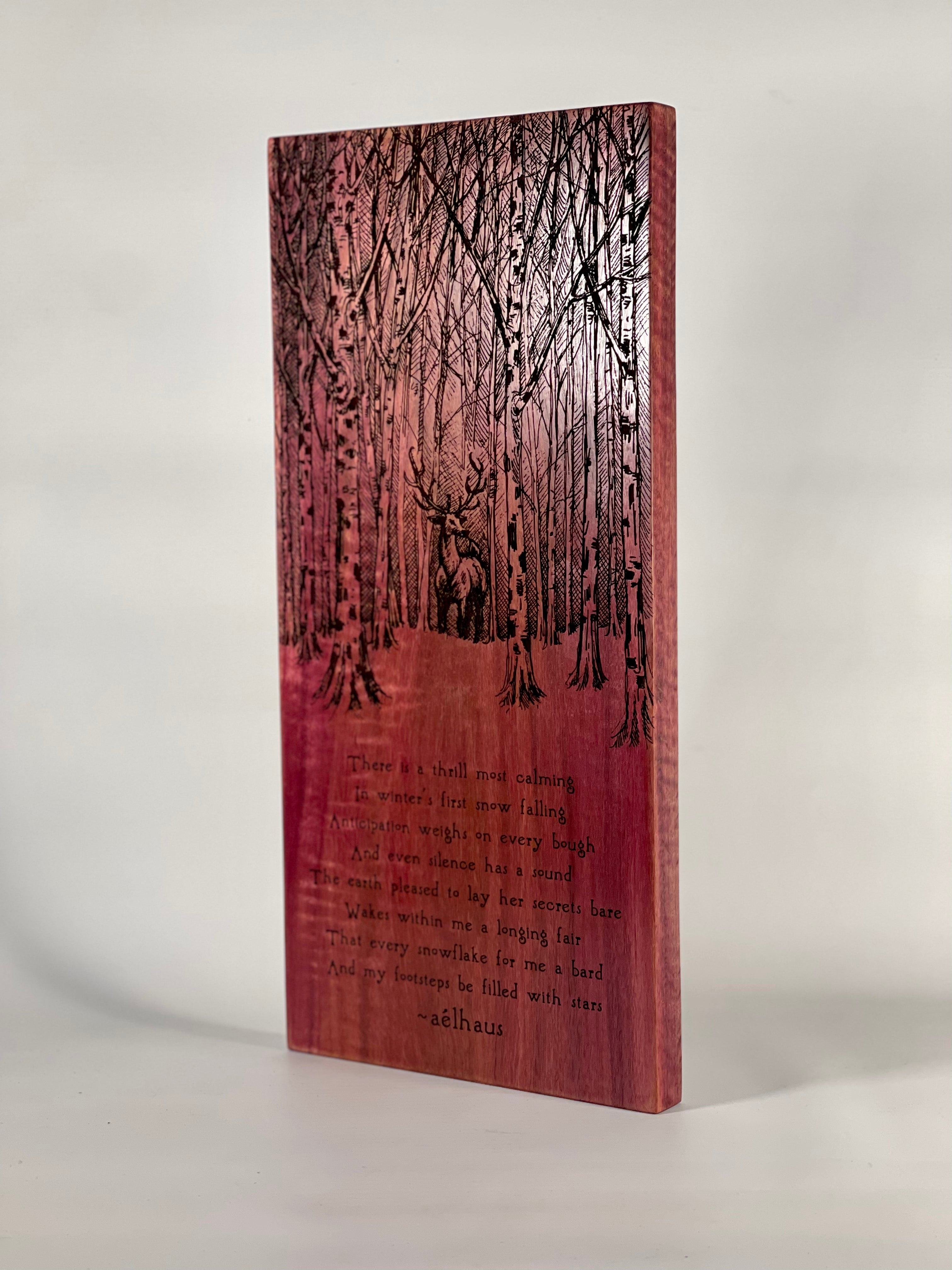 Winter’s First Snow